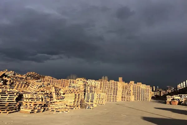 Tanrıkulu Ahşap Palet Tesisi - Resim 4