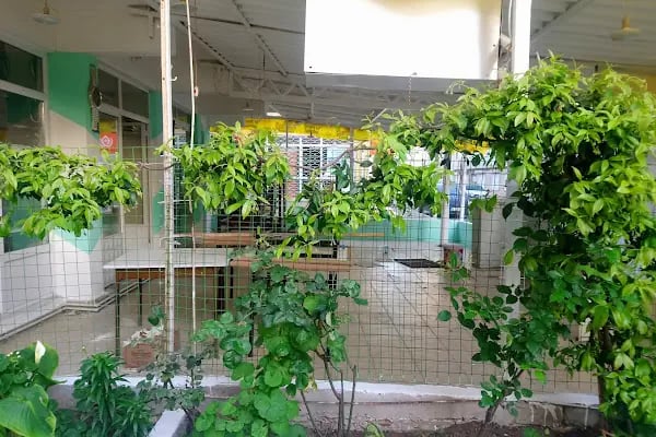 ANTAKYA GASTRO &amp; CAFE - Resim 11