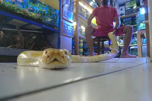 Hobby pet shop hobi grup ltd. - Resim 4