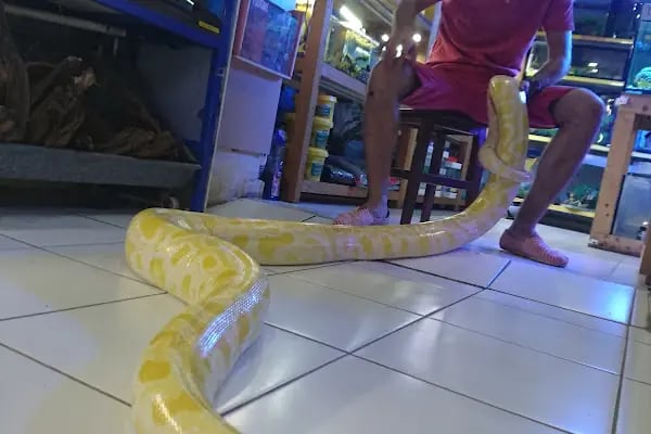 Hobby pet shop hobi grup ltd. - Resim 12