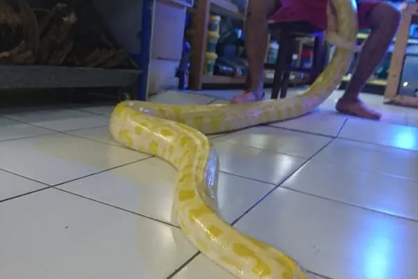 Hobby pet shop hobi grup ltd. - Resim 20