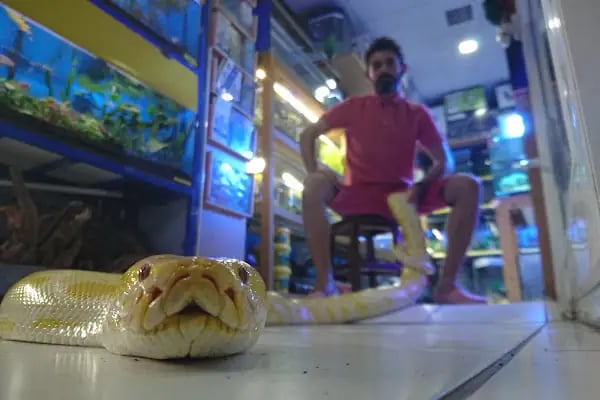 Hobby pet shop hobi grup ltd. - Resim 6
