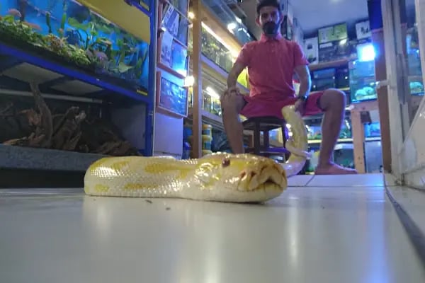 Hobby pet shop hobi grup ltd. - Resim 17