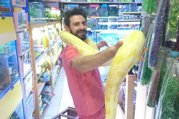Hobby pet shop hobi grup ltd. - Resim 14