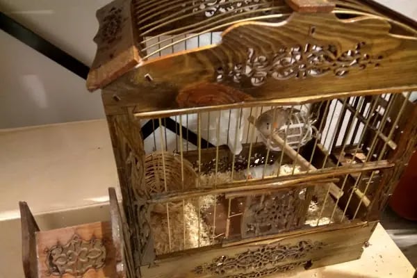 Hobby pet shop hobi grup ltd. - Resim 2