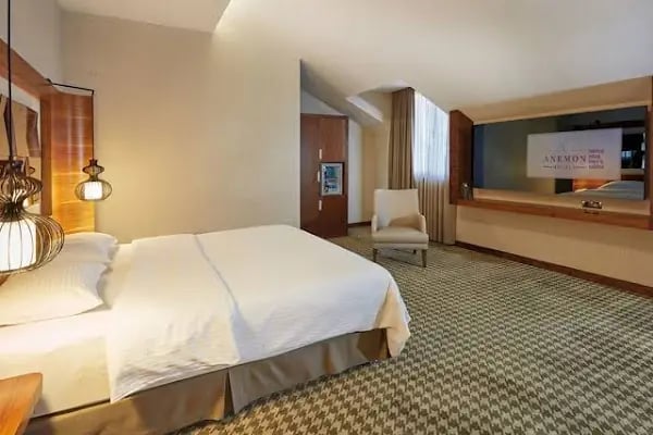 Anemon Ankara Otel - Resim 18
