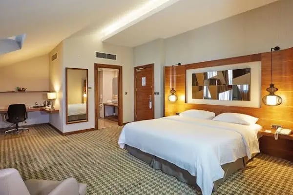 Anemon Ankara Otel - Resim 4