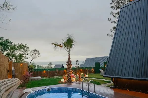 Sapanca Pine Life - Resim 8