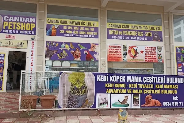 Aydınlıkevler Patilayla Petshop &amp; butik - Resim 19
