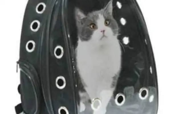 İNEGÖL ALO MAMA İnegöl Petshop Tiryaki petshop inegöl akvaryum - Resim 16