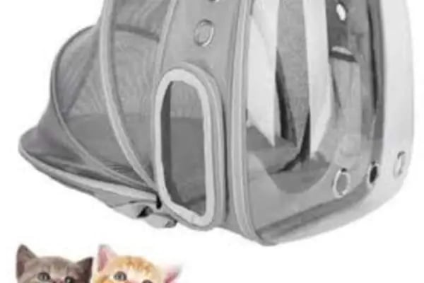 İNEGÖL ALO MAMA İnegöl Petshop Tiryaki petshop inegöl akvaryum - Resim 13