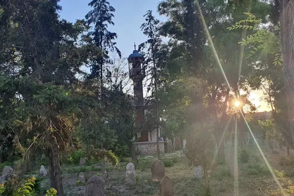 Sarı Yakup Mezarlığı - Resim 7