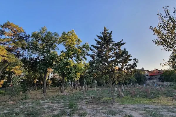 Sarı Yakup Mezarlığı - Resim 15