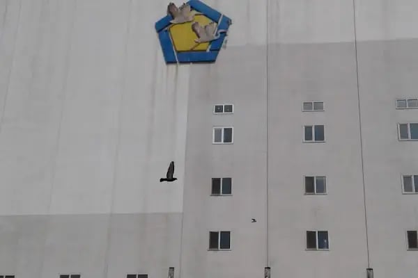 Ankara Un Sanayi A.Ş - Resim 10