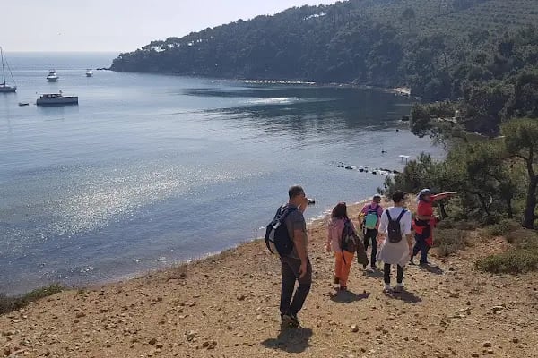Çam Limanı Plajı - Resim 20