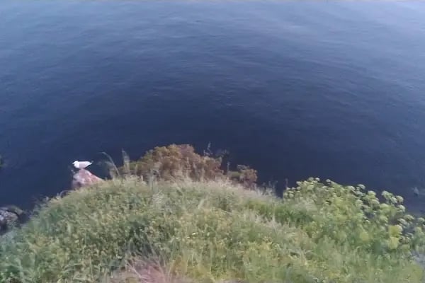 Çam Limanı Plajı - Resim 18