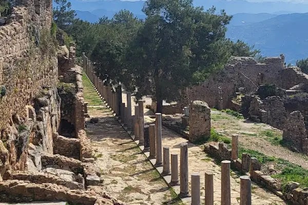 Mahmutlar Belediyesi Düğün Salonu - Resim 18
