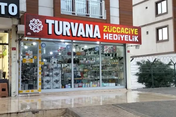 Turvana züccaciye - Resim 2