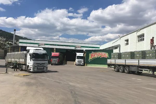 Beypazarı kepçe Buğra metal Hafriyat&amp;Forklift - Resim 6