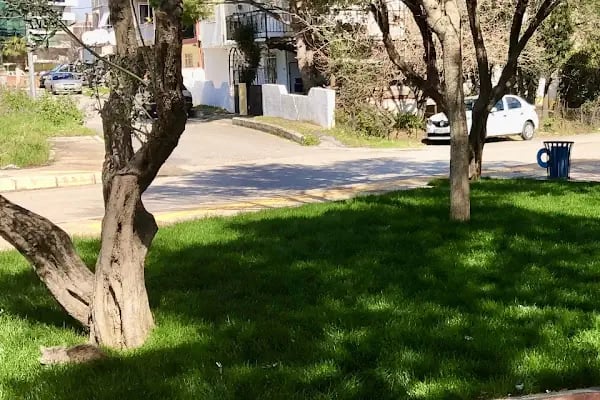 Ardıçlı Parkı - Resim 18
