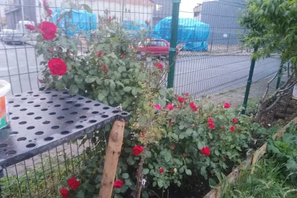 Akbulut Mensucat İnş. San. ve Dış Ticaret Anonim Şirketi - Resim 9