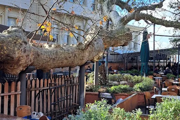 Çengelköy Tarihi Çınaraltı - Resim 20