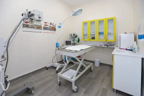 ACAR VETERİNER KLİNİĞİ - BAHÇEŞEHİR - İSTANBUL - Resim 9