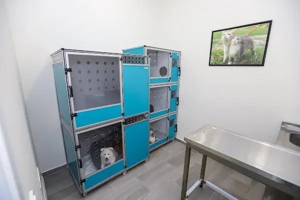 ACAR VETERİNER KLİNİĞİ - BAHÇEŞEHİR - İSTANBUL - Resim 14