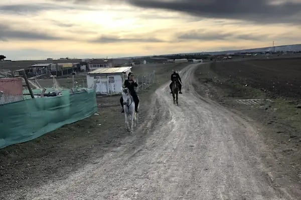 Nallıhan At Çiftliği Binicilik Kulübü - Resim 16