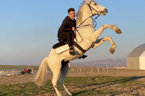 Nallıhan At Çiftliği Binicilik Kulübü - Resim 3
