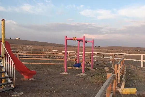 Nallıhan At Çiftliği Binicilik Kulübü - Resim 10