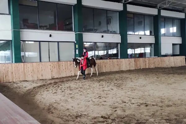 Balıkesir Büyükşehir Belediyesi Binicilik Spor Ve Rehabilitasyon Merkezi - Resim 7