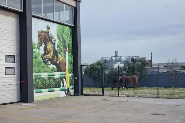 Balıkesir Büyükşehir Belediyesi Binicilik Spor Ve Rehabilitasyon Merkezi - Resim 13