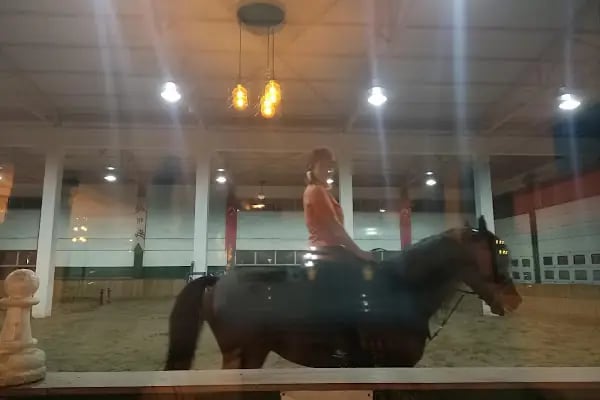 Balıkesir Büyükşehir Belediyesi Binicilik Spor Ve Rehabilitasyon Merkezi - Resim 14