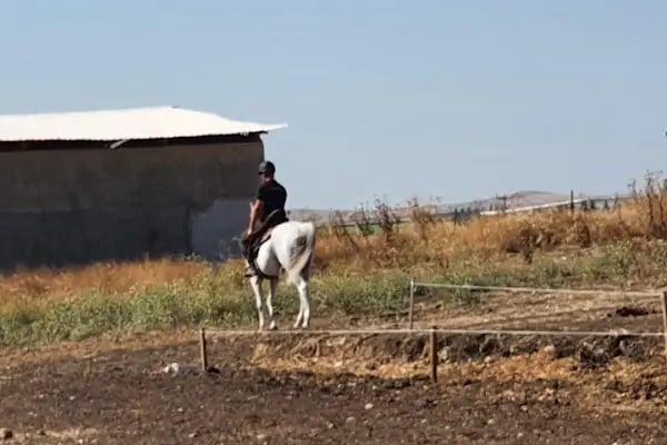 Balıkesir Büyükşehir Belediyesi Binicilik Spor Ve Rehabilitasyon Merkezi - Resim 11