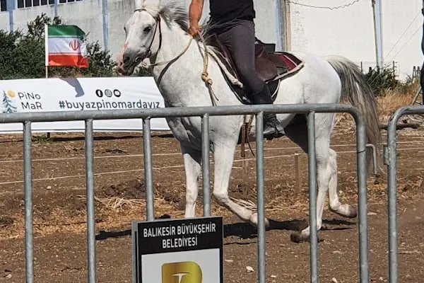 Balıkesir Büyükşehir Belediyesi Binicilik Spor Ve Rehabilitasyon Merkezi - Resim 5