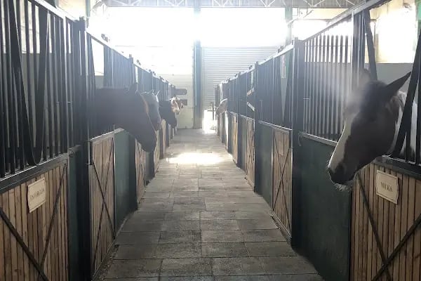Balıkesir Büyükşehir Belediyesi Binicilik Spor Ve Rehabilitasyon Merkezi - Resim 3
