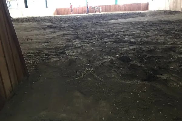 Balıkesir Büyükşehir Belediyesi Binicilik Spor Ve Rehabilitasyon Merkezi - Resim 19
