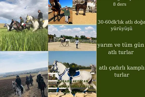 Gölbaşı binicilik merkezi - Resim 20