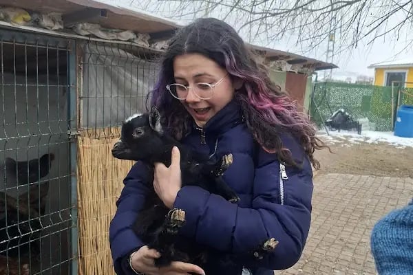 Gölbaşı binicilik merkezi - Resim 15