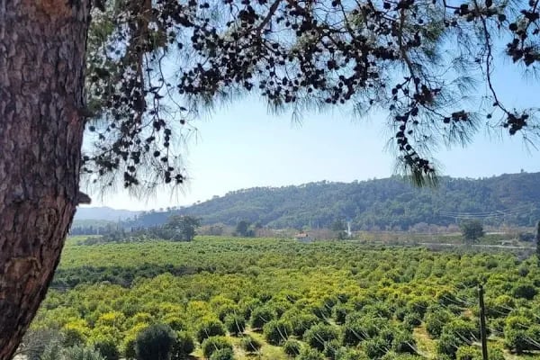 Çandır Resort &amp; Restaurant - Resim 15