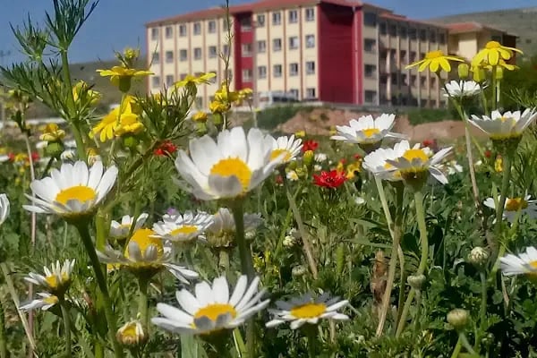 Akçadağ Fatih Fen Lisesi - Resim 2