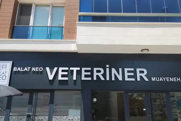 Balat Neo Veteriner Kliniği I BALAT VETERİNER I BADEMLİ VETERİNER I ACİL VETERİNER - Resim 3