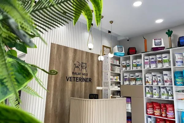 Balat Neo Veteriner Kliniği I BALAT VETERİNER I BADEMLİ VETERİNER I ACİL VETERİNER - Resim 2