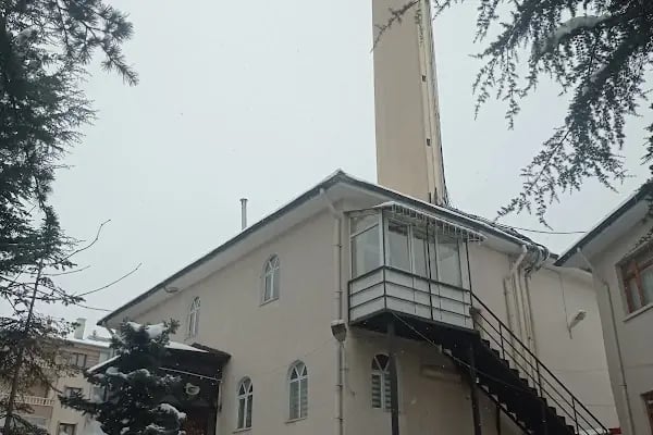 T.C. Alitindağ Müftülüğü Hasköy Gülpinar Mahallesi Merkez Camii - Resim 4