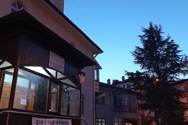 T.C. Alitindağ Müftülüğü Hasköy Gülpinar Mahallesi Merkez Camii - Resim 5