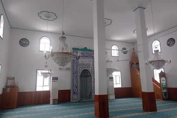 T.C. Alitindağ Müftülüğü Hasköy Gülpinar Mahallesi Merkez Camii - Resim 9