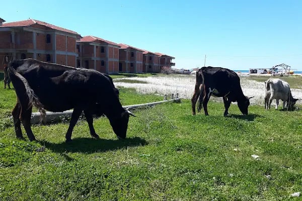 Aqua Beach Otel - Resim 11