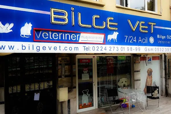 Bilgevet - Resim 12