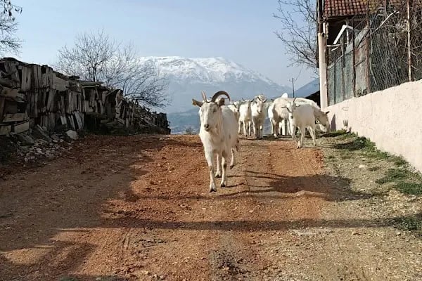 Akçay Emlak &amp; Gayrimenkul Ofisi - Resim 12